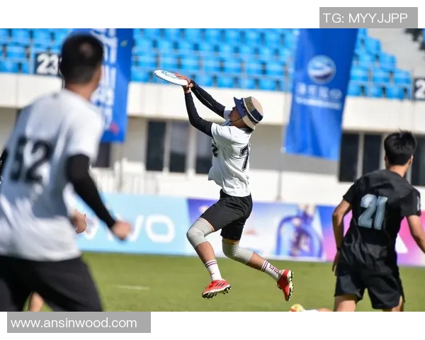 独家分析：南京飞盘队的状态对比