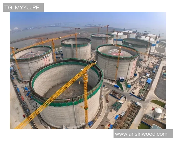 独家分析：LNG的状态对比