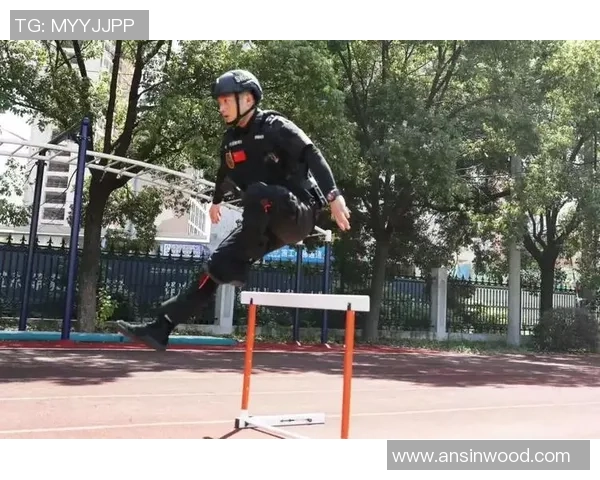 科学滑板:战术训练方法